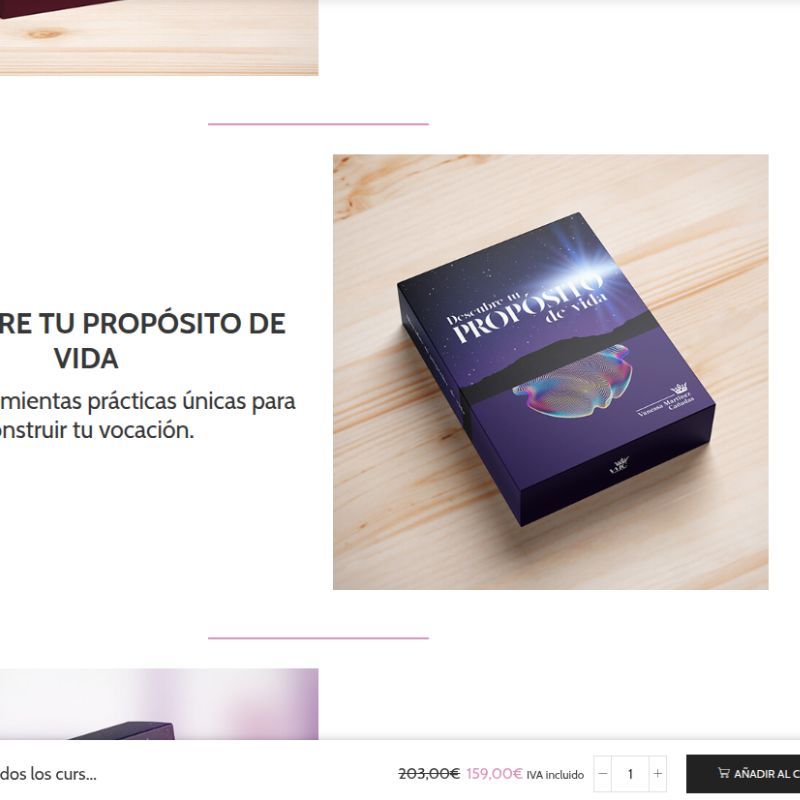 maringo-imagen-destacada-disenos-web-vanessa-bienestar-proposito-tira